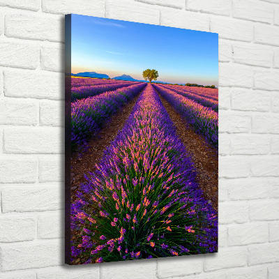 Tableau sur toile Fleurs violettes de lavande