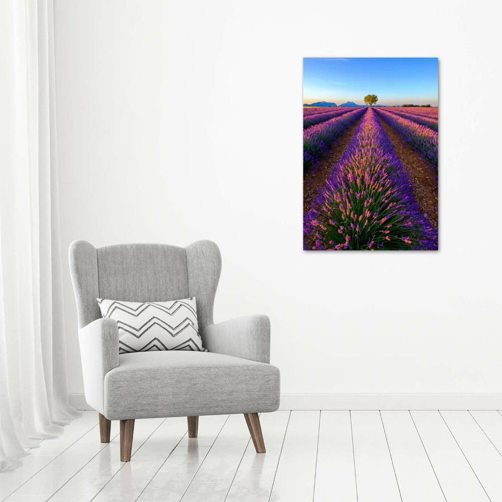 Tableau sur toile Fleurs violettes de lavande