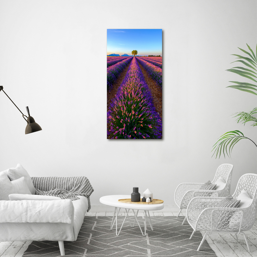 Tableau sur toile Fleurs violettes de lavande