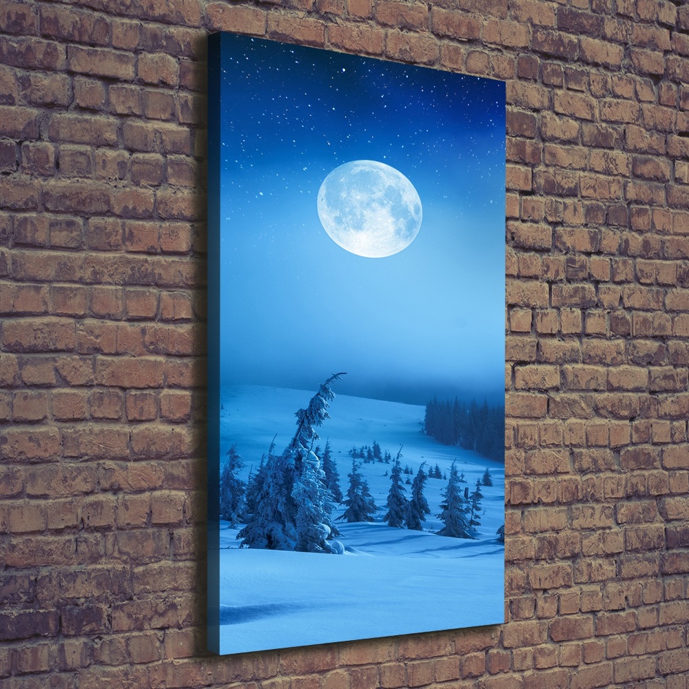 Tableau mural sur toile Pleine lune