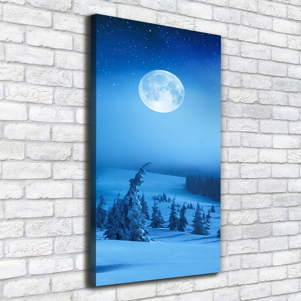 Tableau mural sur toile Pleine lune