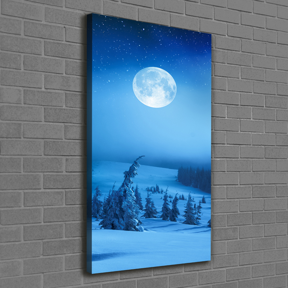 Tableau mural sur toile Pleine lune