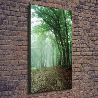 Tableau mural sur toile Brume dans la forêt