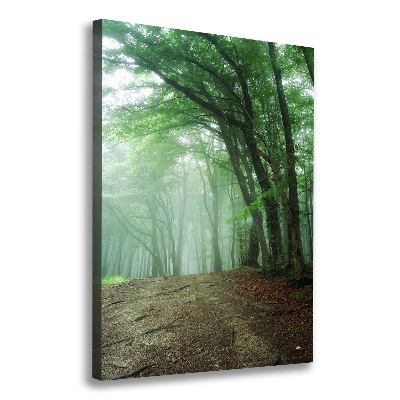 Tableau mural sur toile Brume dans la forêt