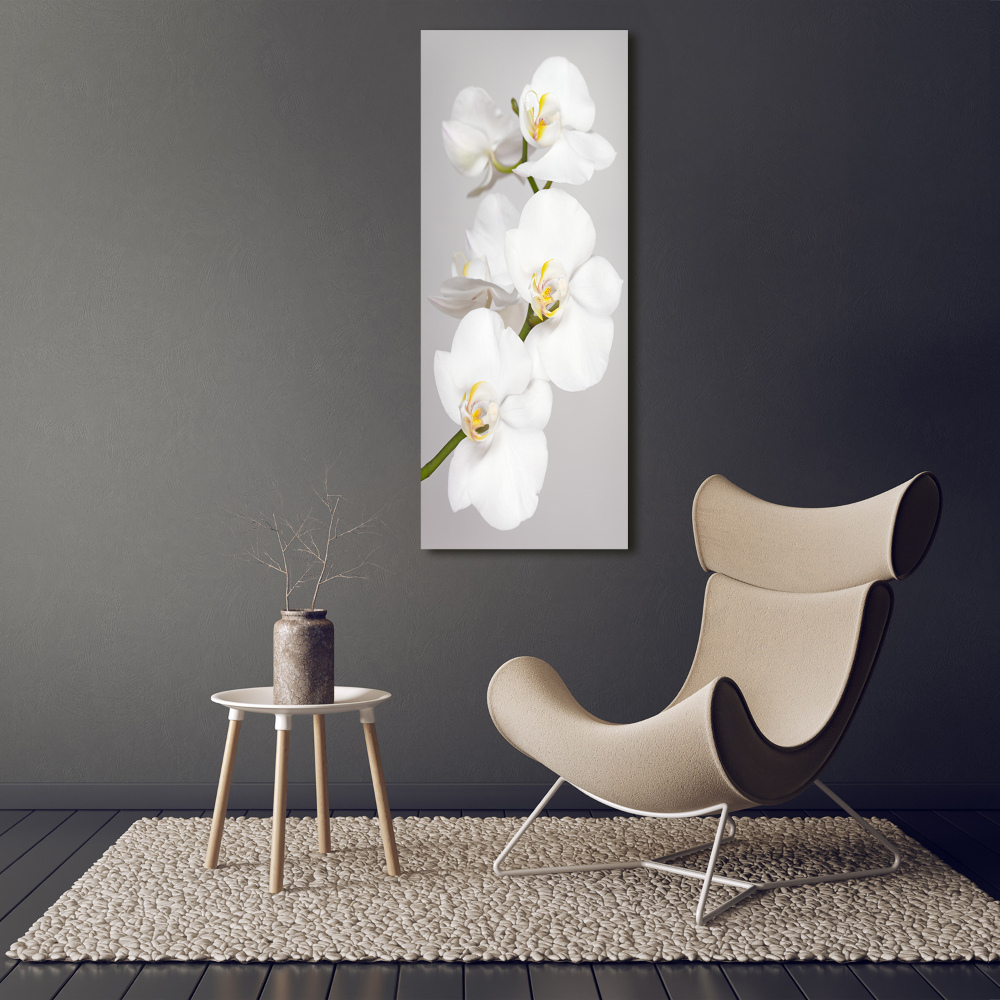 Tableau toile imprimée Orchidée blanche