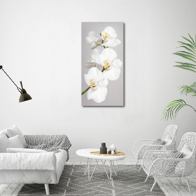 Tableau toile imprimée Orchidée blanche