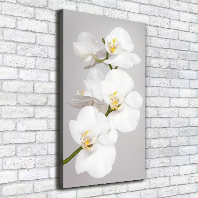 Tableau toile imprimée Orchidée blanche