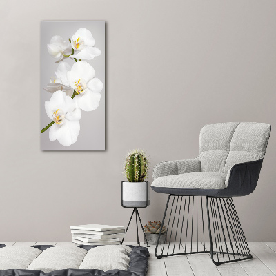 Tableau toile imprimée Orchidée blanche