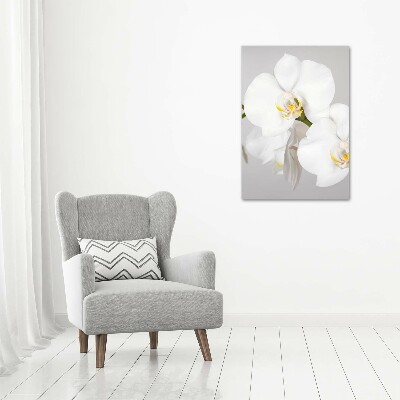 Tableau toile imprimée Orchidée blanche