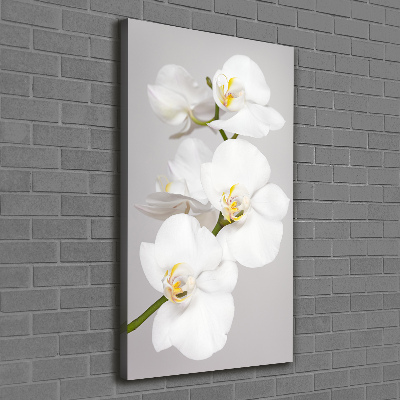 Tableau toile imprimée Orchidée blanche