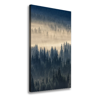 Tableau imprimé sur toile Brume sur la forêt