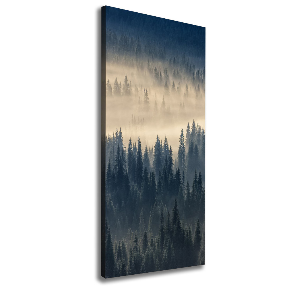 Tableau imprimé sur toile Brume sur la forêt