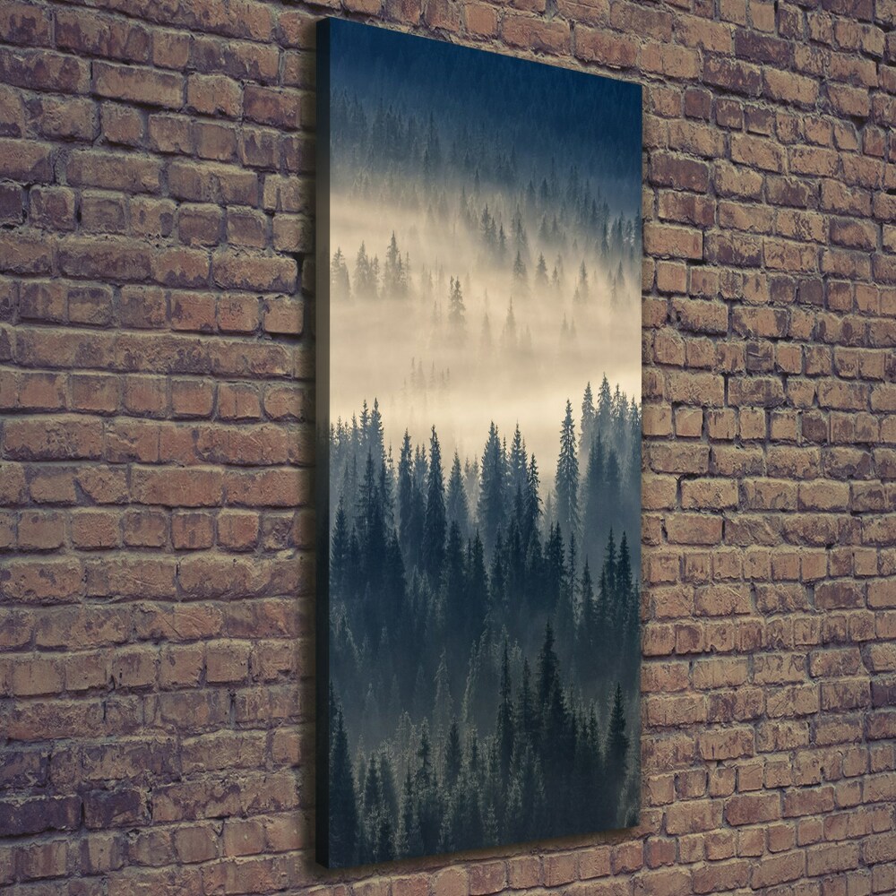 Tableau imprimé sur toile Brume sur la forêt