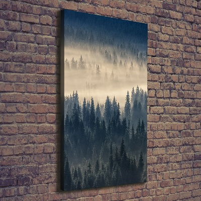 Tableau imprimé sur toile Brume sur la forêt