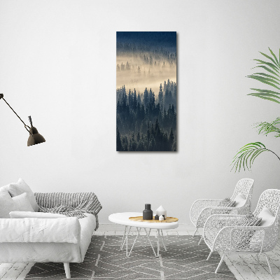 Tableau imprimé sur toile Brume sur la forêt