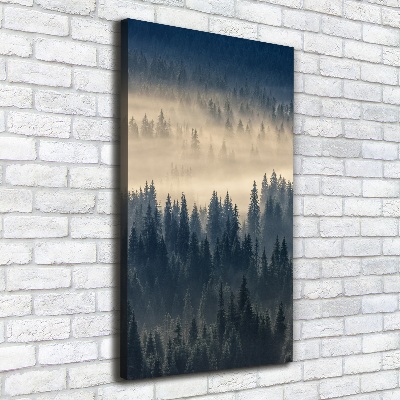 Tableau imprimé sur toile Brume sur la forêt