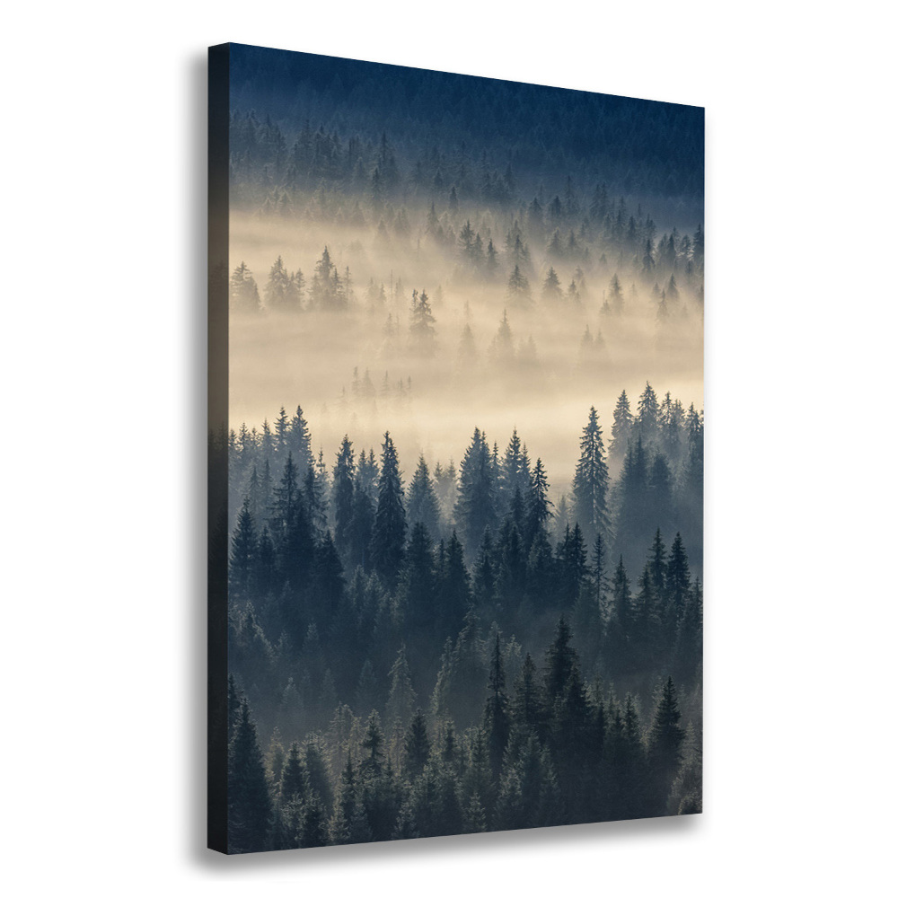 Tableau imprimé sur toile Brume sur la forêt