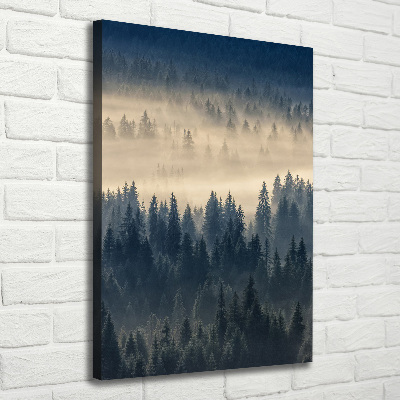 Tableau imprimé sur toile Brume sur la forêt