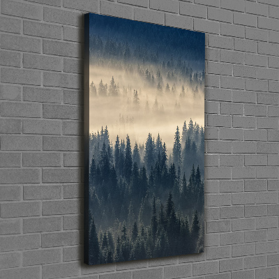 Tableau imprimé sur toile Brume sur la forêt