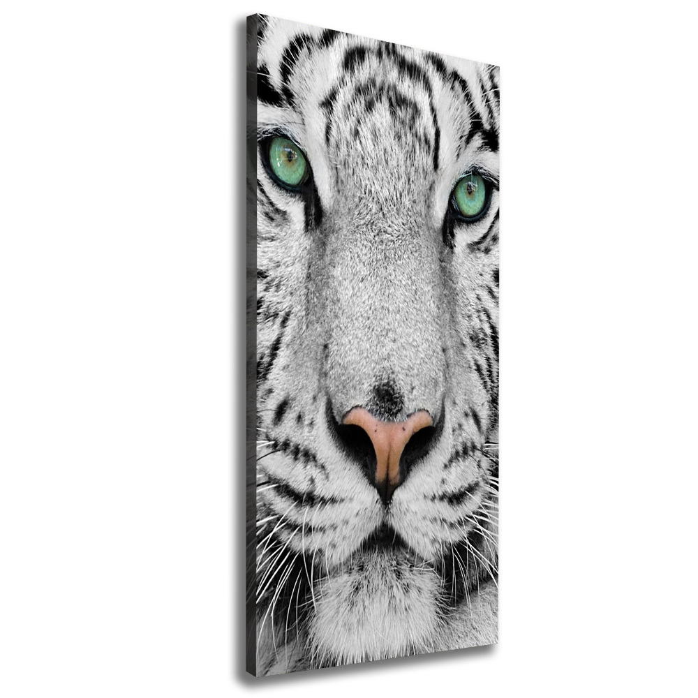 Tableau mural sur toile Tigre blanc