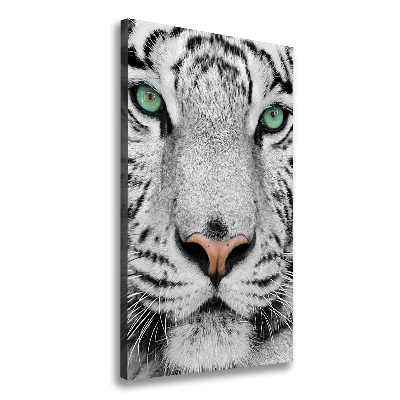 Tableau mural sur toile Tigre blanc