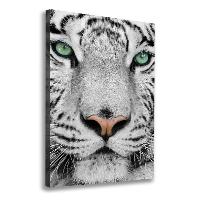 Tableau mural sur toile Tigre blanc