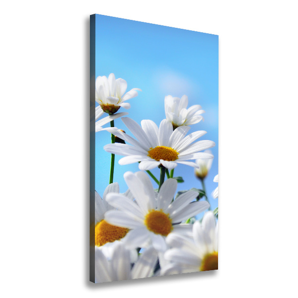 Marguerites
