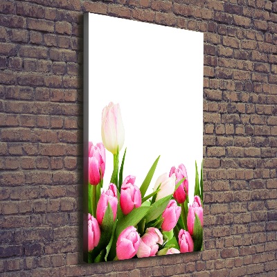 Tableau imprimé sur toile Tulipes roses