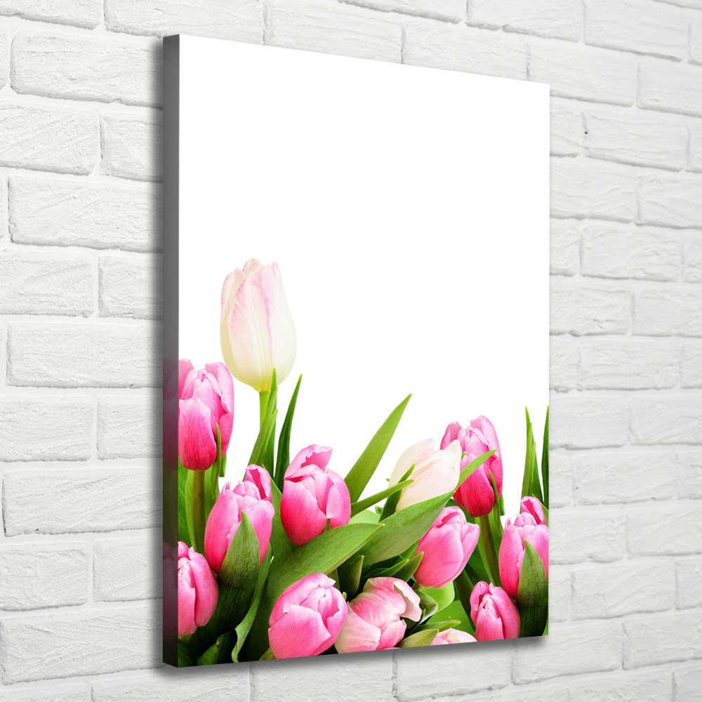 Tableau imprimé sur toile Tulipes roses