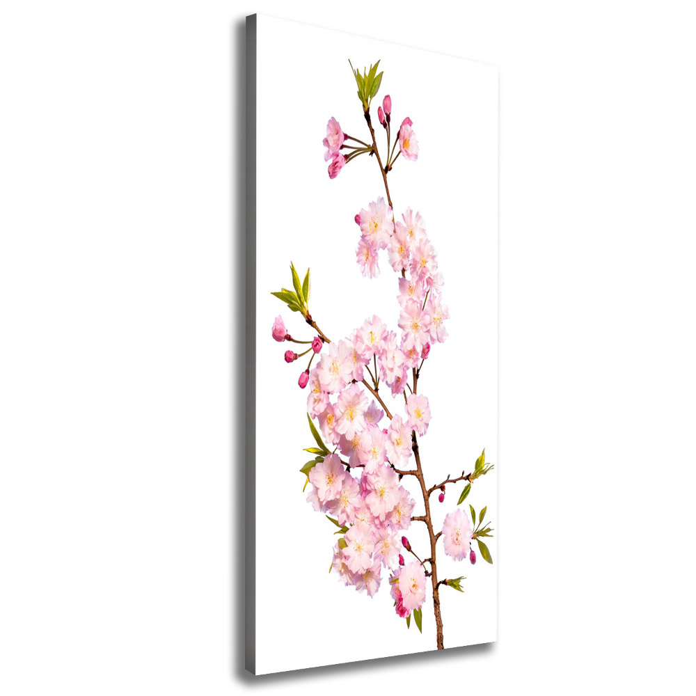 Tableau sur toile Fleur de cerisier plante