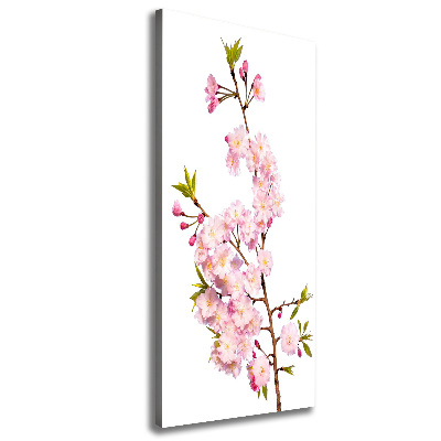 Tableau sur toile Fleur de cerisier plante