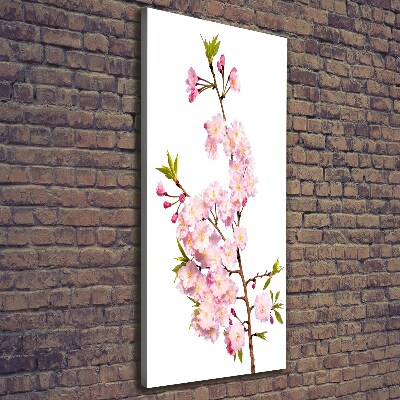 Tableau sur toile Fleur de cerisier plante