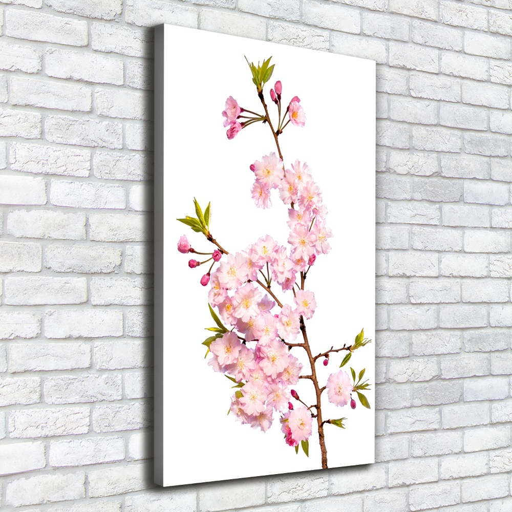 Tableau sur toile Fleur de cerisier plante