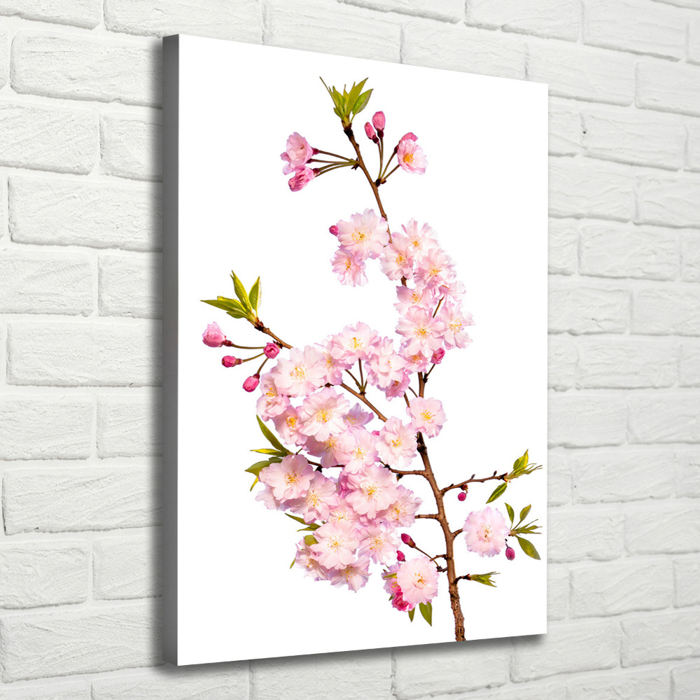 Tableau sur toile Fleur de cerisier plante