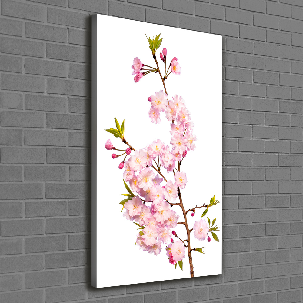 Tableau sur toile Fleur de cerisier plante