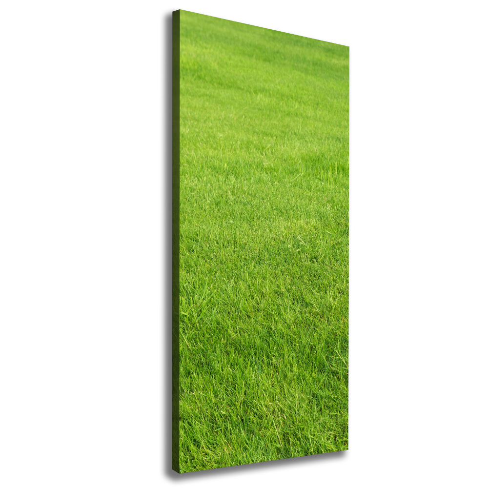 Tableau imprimé sur toile Herbe verte