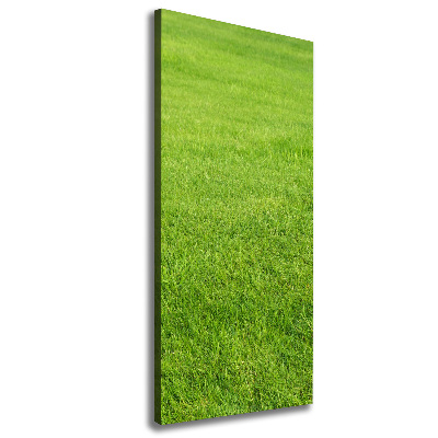 Tableau imprimé sur toile Herbe verte