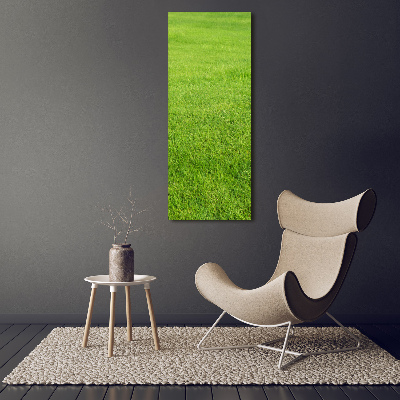 Tableau imprimé sur toile Herbe verte