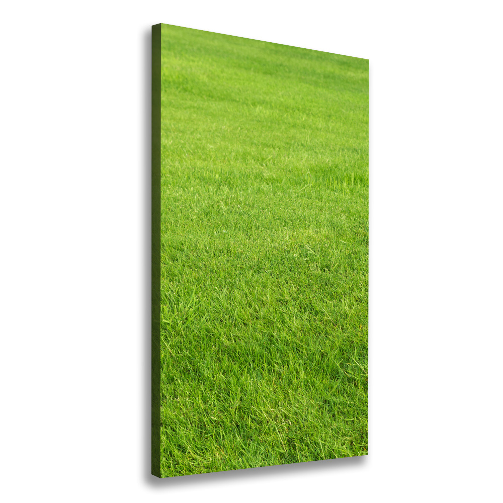 Tableau imprimé sur toile Herbe verte