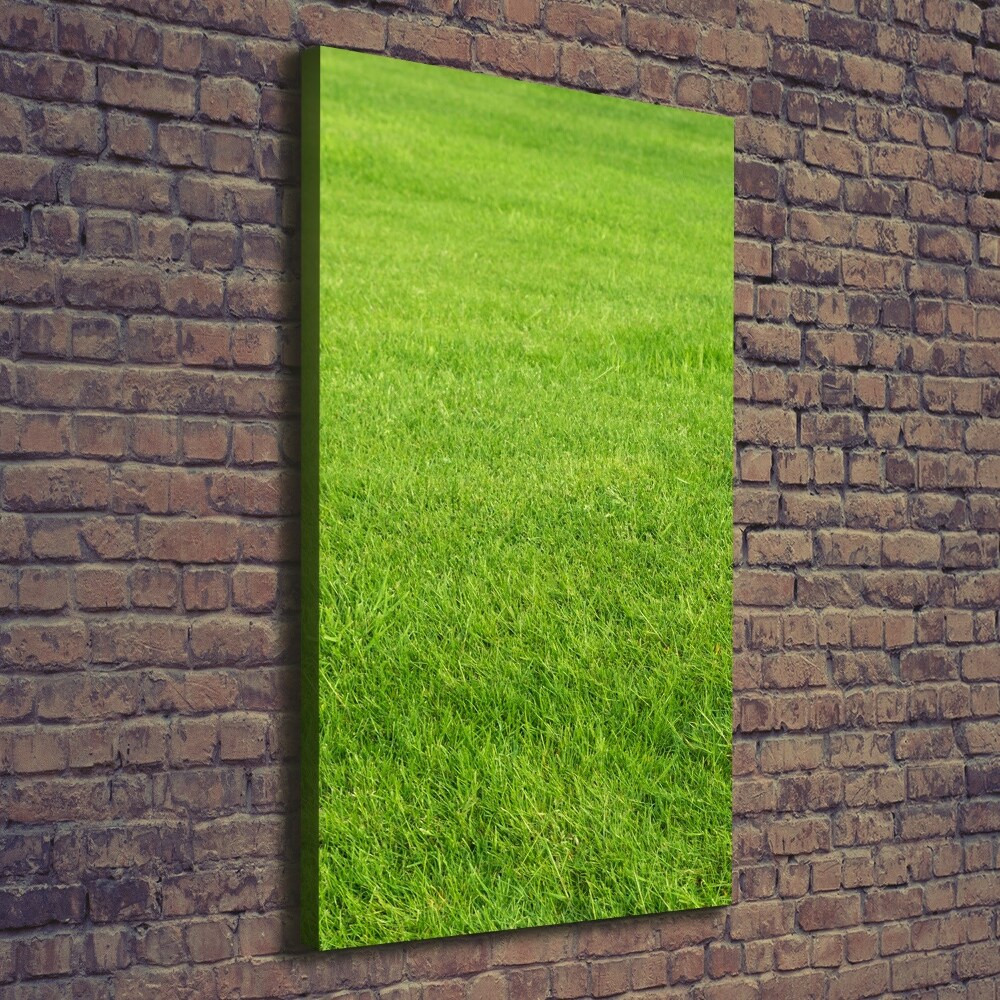 Tableau imprimé sur toile Herbe verte