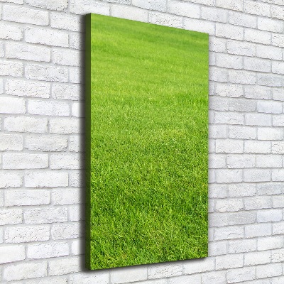 Tableau imprimé sur toile Herbe verte