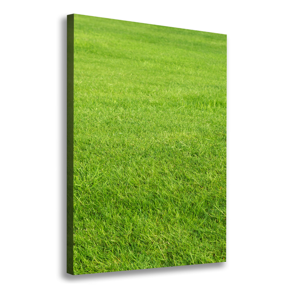 Tableau imprimé sur toile Herbe verte