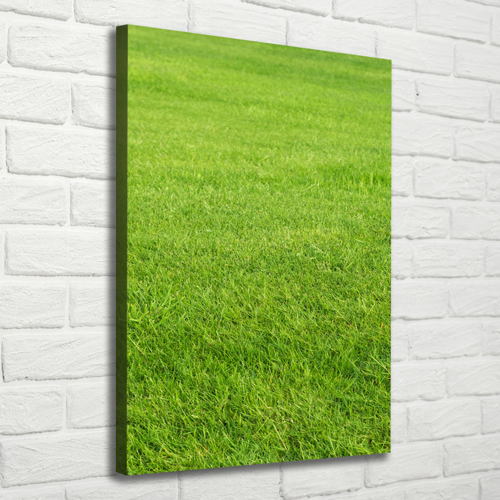 Tableau imprimé sur toile Herbe verte