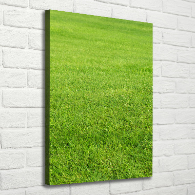 Tableau imprimé sur toile Herbe verte