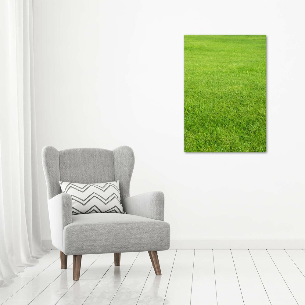 Tableau imprimé sur toile Herbe verte