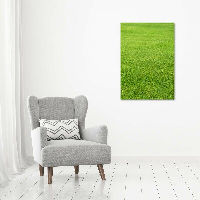 Tableau imprimé sur toile Herbe verte