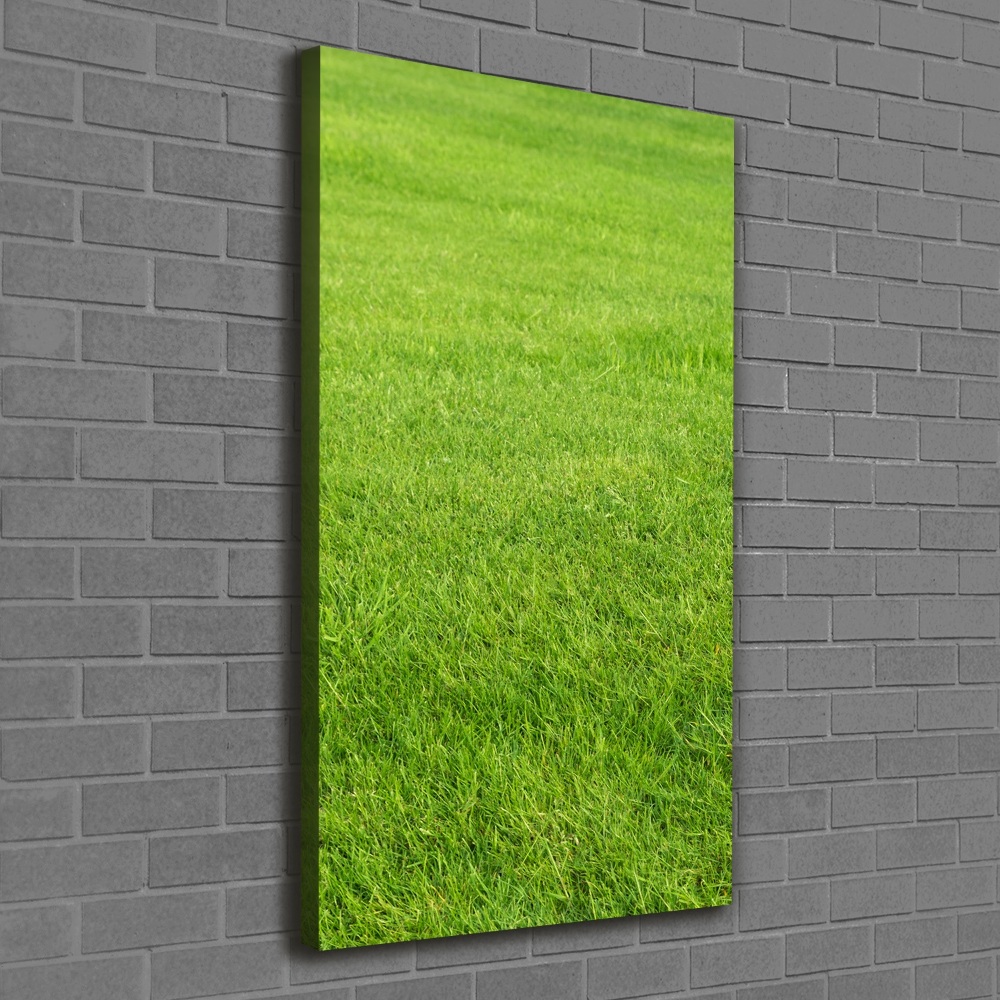 Tableau imprimé sur toile Herbe verte