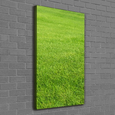 Tableau imprimé sur toile Herbe verte