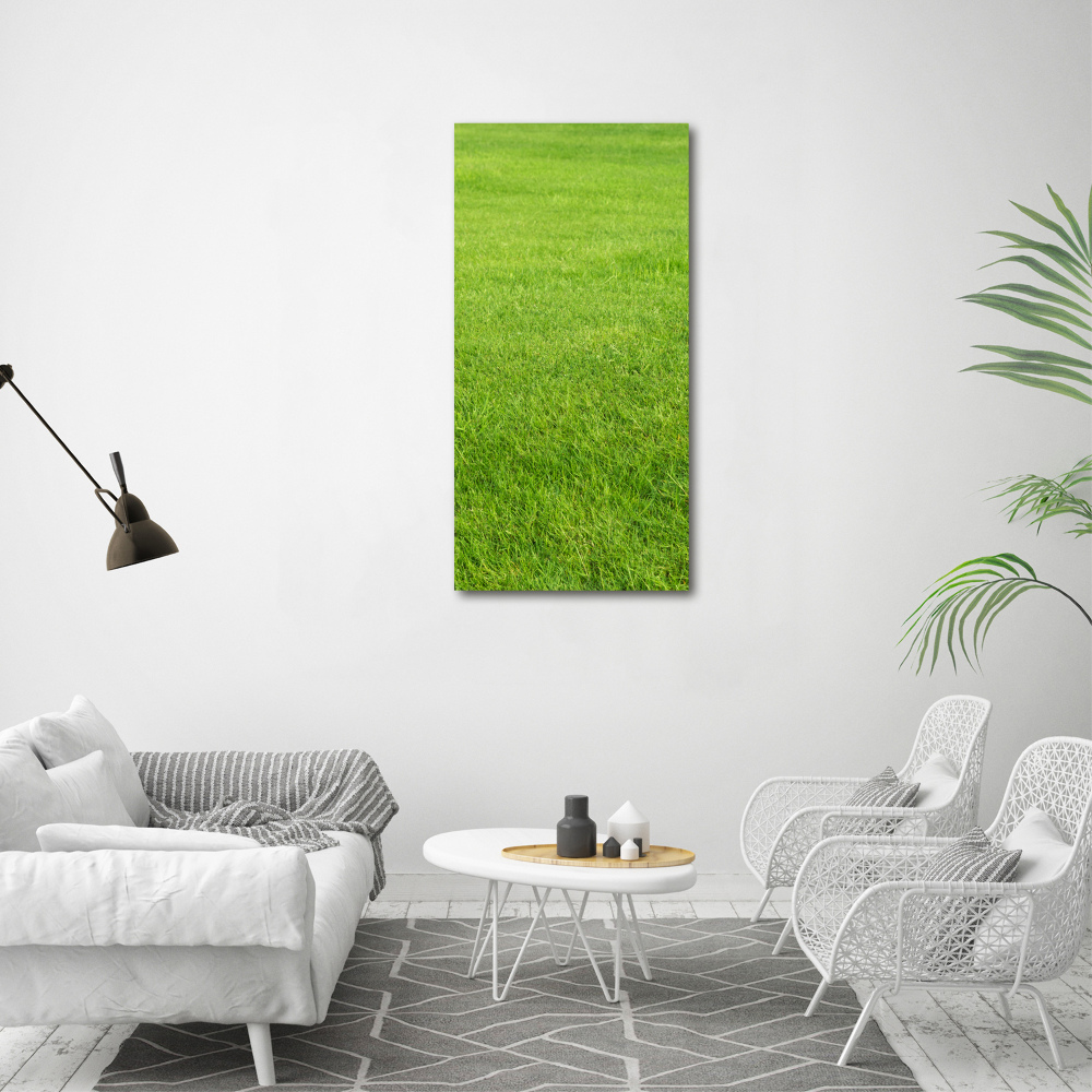 Tableau imprimé sur toile Herbe verte