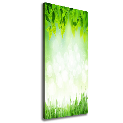 Tableau photo sur toile Feuilles et herbe